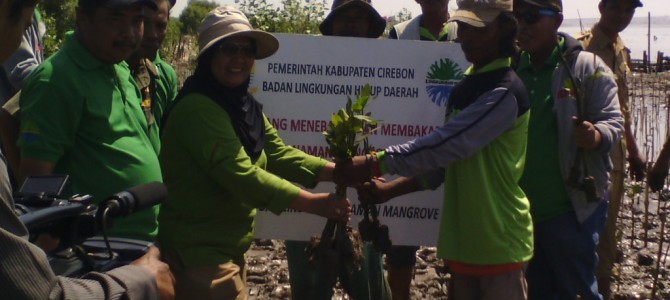 Penanaman Mangrove di Desa Jatimerta