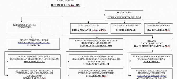 STRUKTUR ORGANISASI dlh KAB. CIREBON